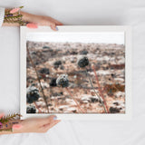 Wildflower Desert Print | Minimalist Digital Print | Printable Art - Vintage Radar