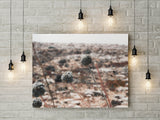 Wildflower Desert Print | Minimalist Digital Print | Printable Art - Vintage Radar