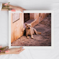 Cute Dog Digital Print | Animal Lovers Digital Prints | Printable Art - Vintage Radar